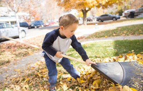 Image of young child raking leaves