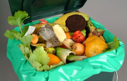 Image of a small bin filled with food waste to be taken to a compost bin