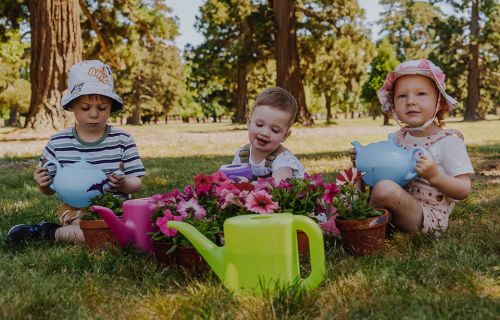 Children having a picnic in the park