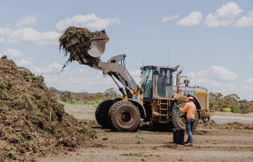 An excavator lifts a pile of greenwaste into a larger pile