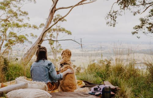 A woman with her back to the camera sitting with a dog facing a bush view from a mountain