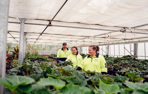Mark, Sheree and Erin with begonias in the gardens' nursery