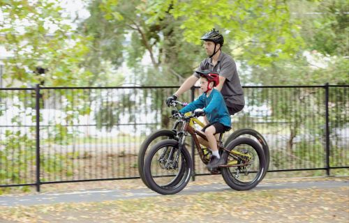 A man and a child riding bikes on a footpath under leafy trees