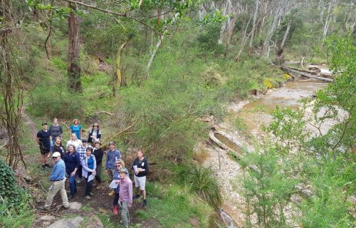 A group of people standing in bushland near a river