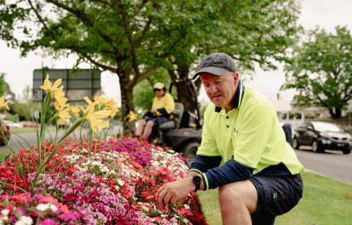 A man in high-vis clothing kneeling next to a colourful garden bed