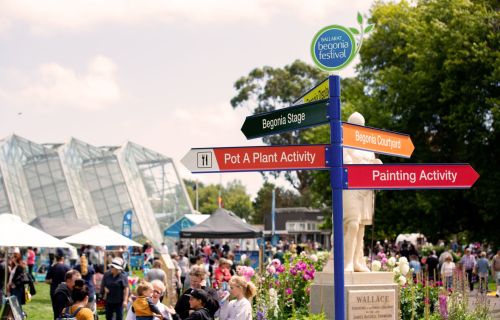 Begonia festival crowd and way finding sign