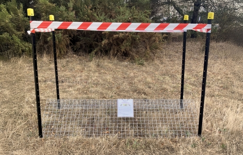 photo of the baiting station setup with four black poles and red and white tape around the top for visibility