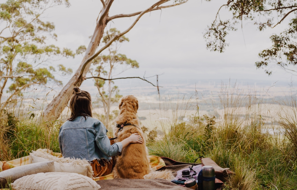 A woman with her back to the camera sitting with a dog facing a bush view from a mountain