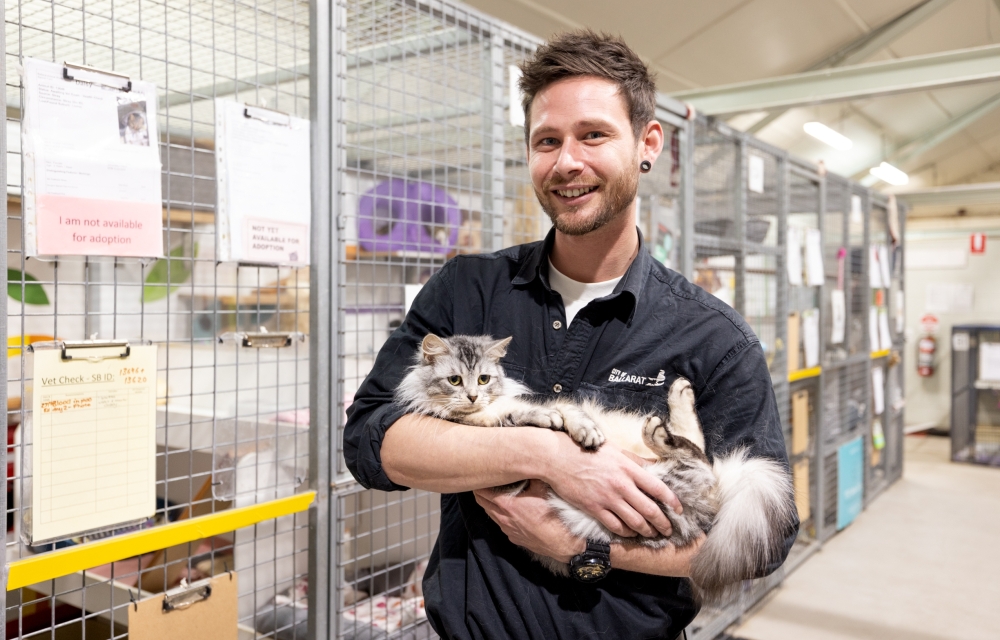 Animal Shelter Staff member holding a cat in the cat enclosure area