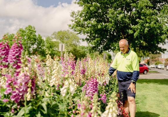 City Entrances horticulturalist Peter Blood with the Victoria Street Gardens