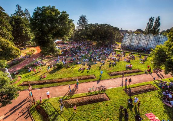 Aerial view of Ballarat Botanical Gardens during Summer Sundays concert series