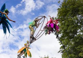 Generic image of aerial peformers SWAY at Begonia Festival