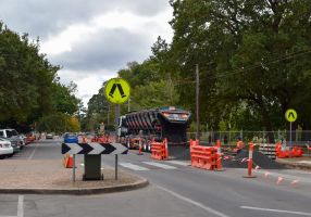 Road works occurring on a tree-lined street.