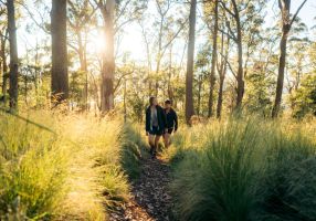 A man and a woman walk through the bush. 