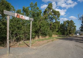 Gravel road at Black Hill reserve
