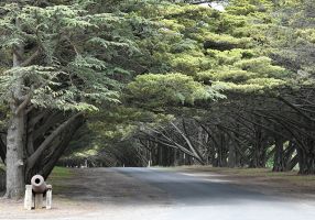 Victoria park