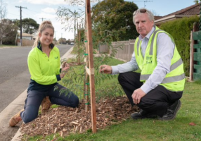 A new leaf: City of Ballarat Apprentice Horticulturalist Alivia Dyer and Coordinator Parks and Gardens Daryl Wallis.