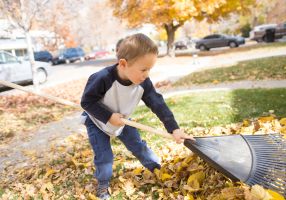 Image of young child raking leaves