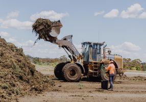An excavator lifts a pile of greenwaste into a larger pile