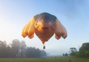 Patricia Piccinini, Skywhalepapa