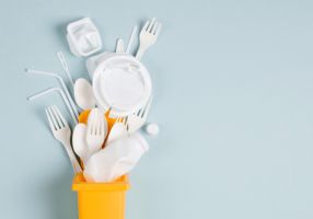 single use plastics