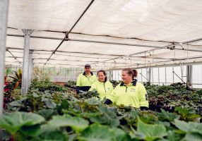 Mark, Sheree and Erin with begonias in the gardens' nursery