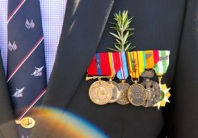 Close up of rosemary and war medals on a jacket