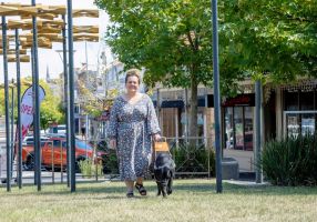 A woman walking a with a black Labrador guide dog