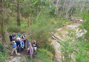 A group of people standing in bushland near a river
