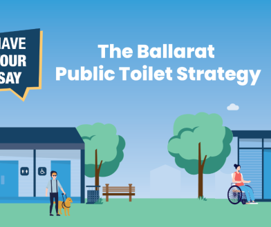 have your say 